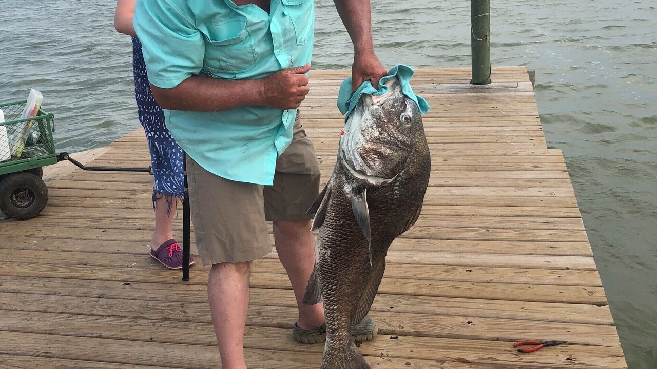 Photo of Others in Port Lavaca