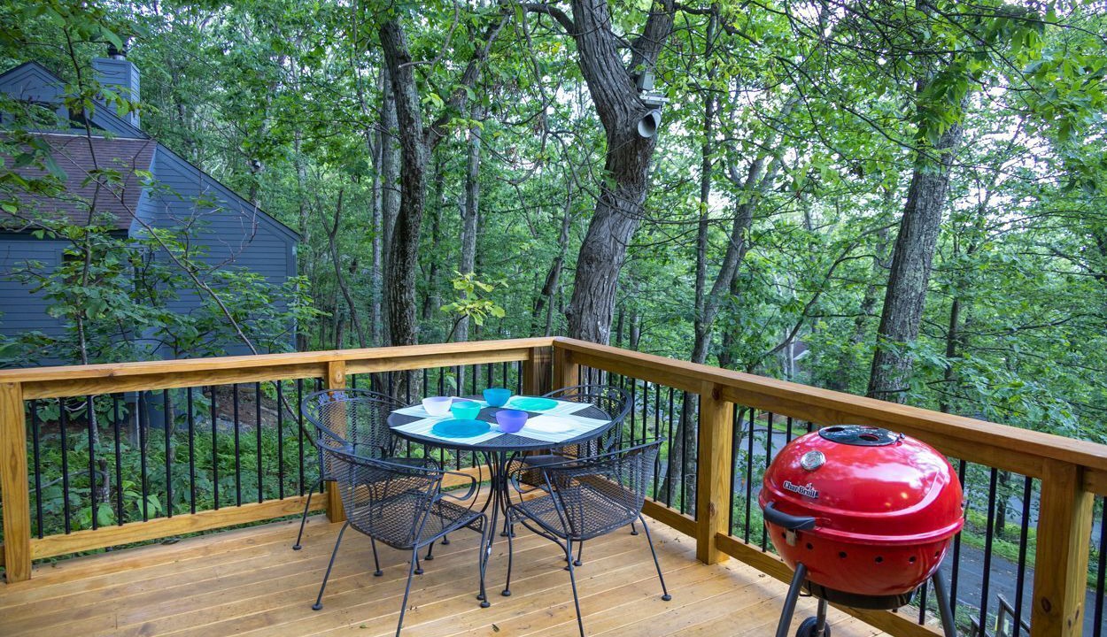 Photo of Outdoor in Wintergreen
