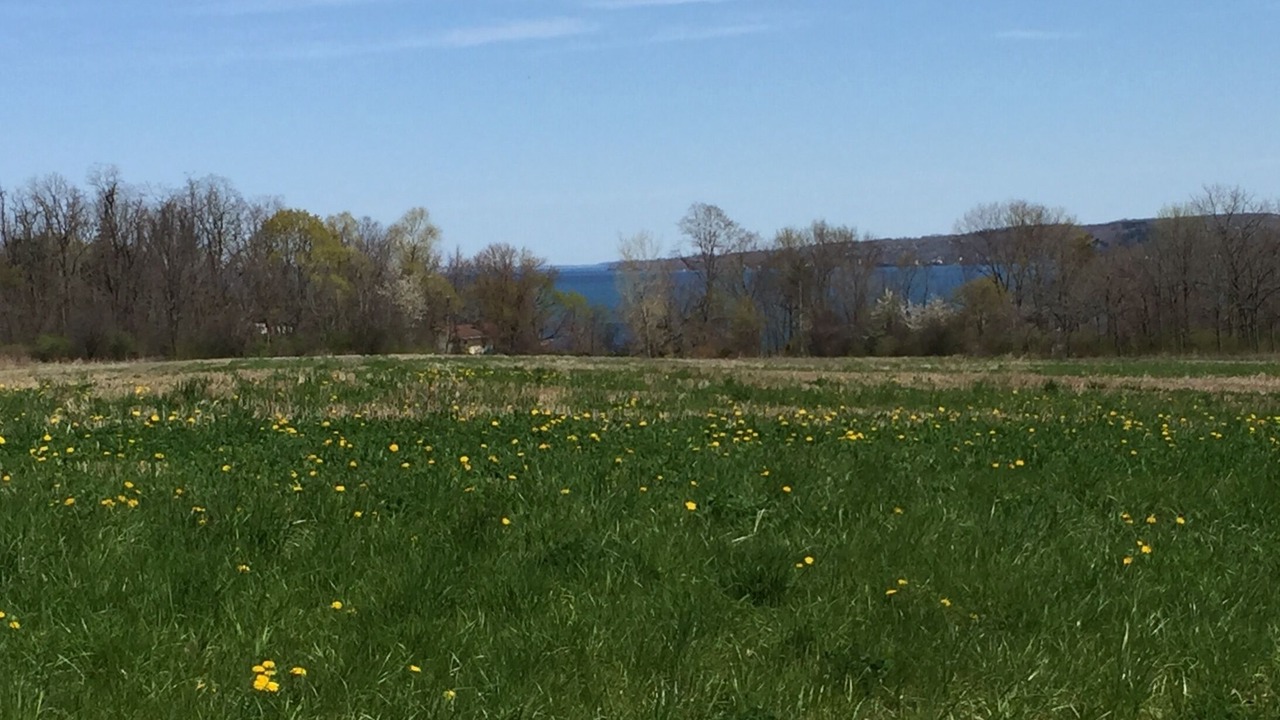 Photo of Outdoor in Sheldrake