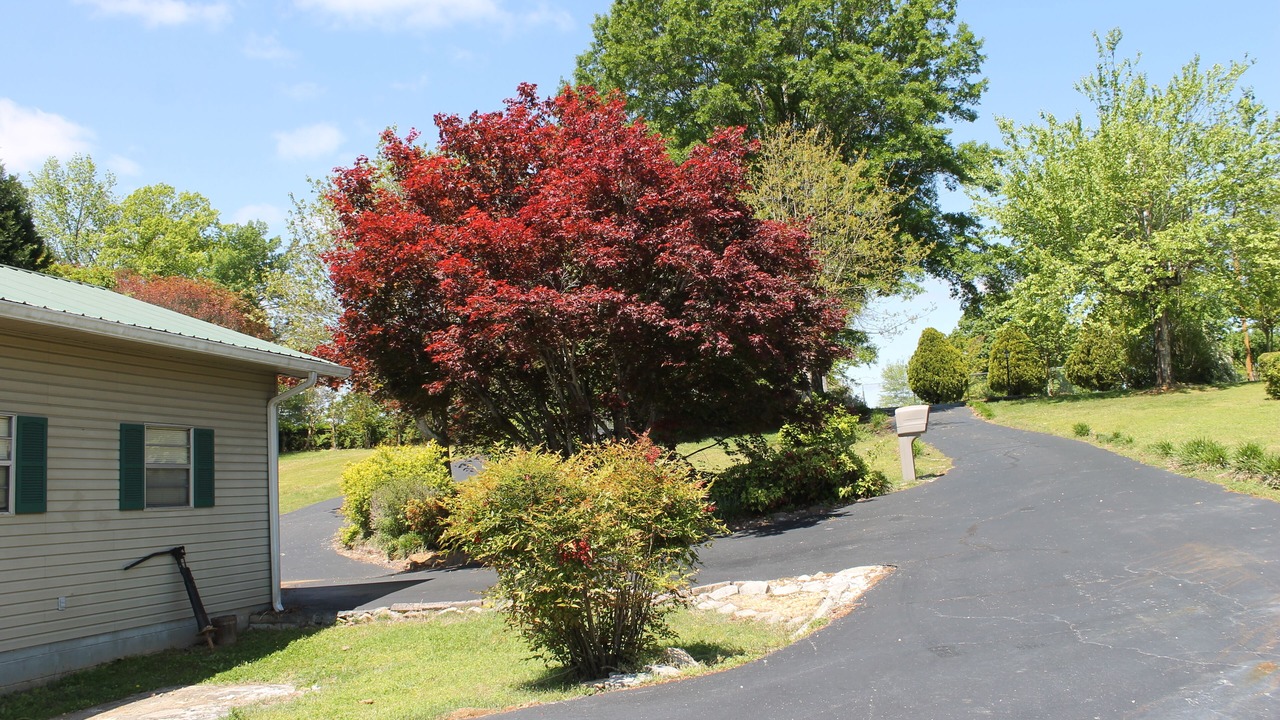 Photo of Outdoor in Decatur