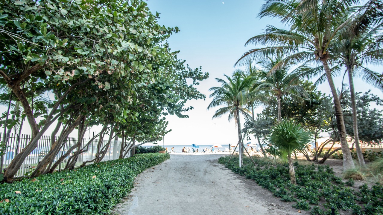 Photo of Others in Sunny Isles Beach