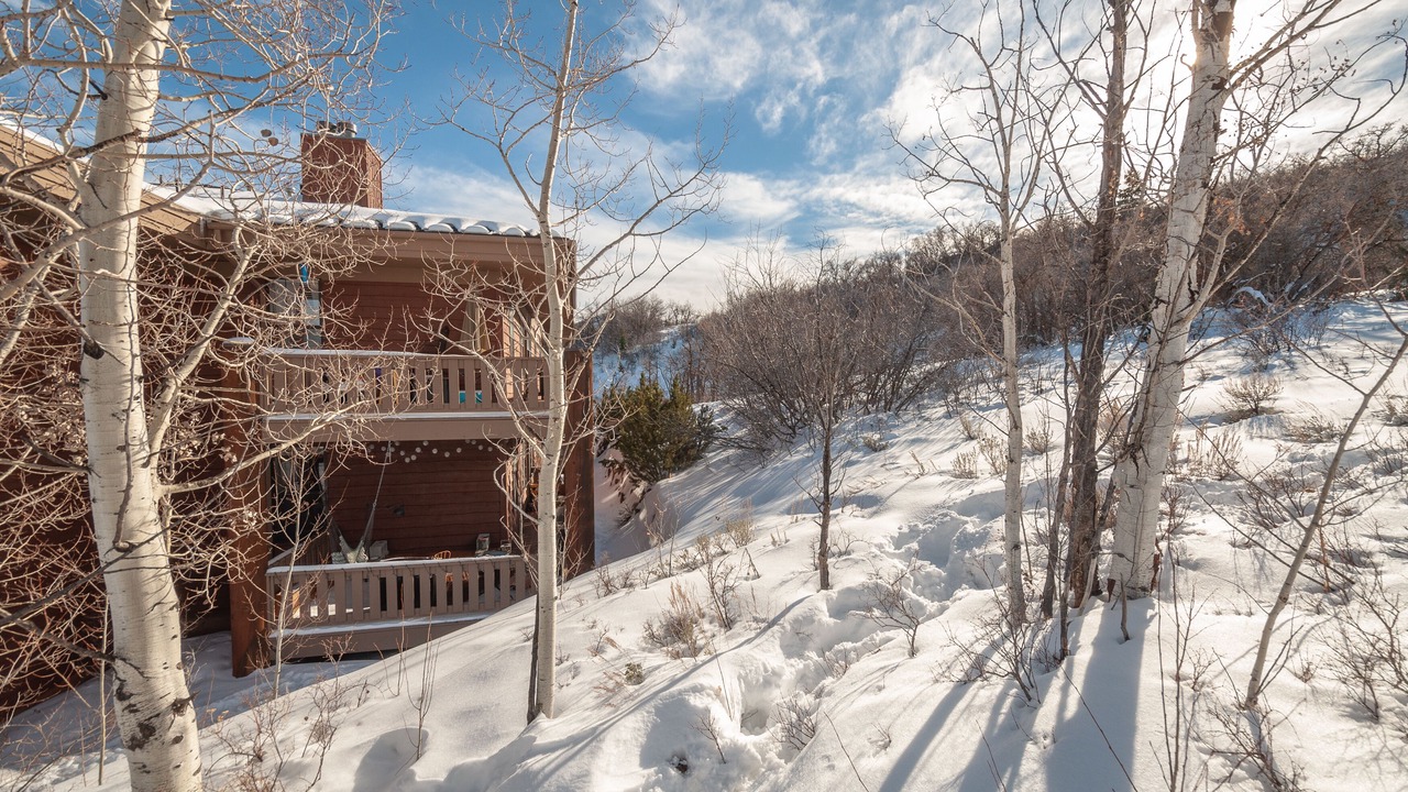 Photo of Outdoor in Pinebrook