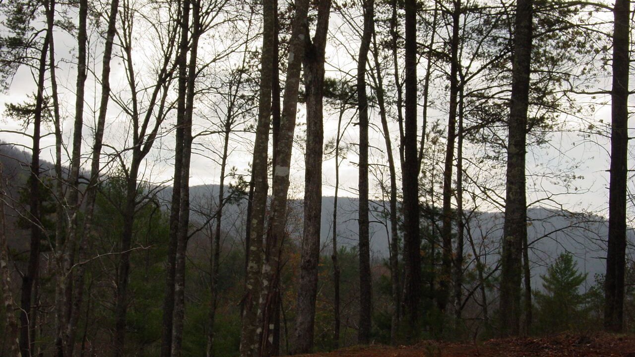 Photo of Others in Epworth
