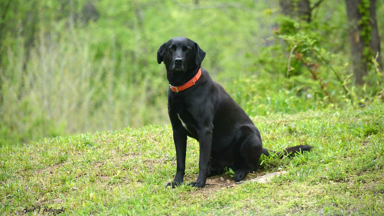Photo of Others in Catlettsburg