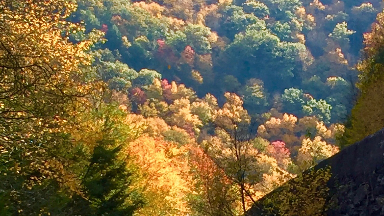 Photo of Outdoor in Ashfield