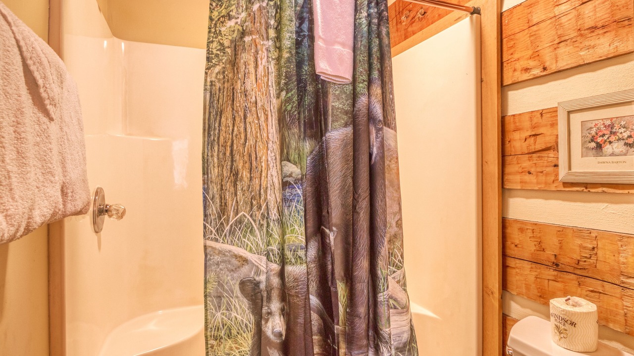 Photo of Bathroom in Gatlinburg