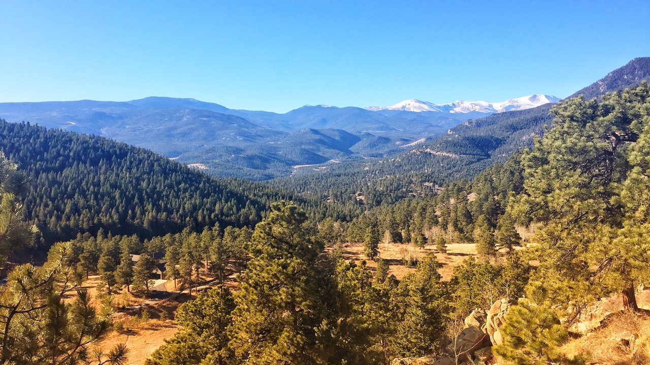 Photo of Others in Evergreen
