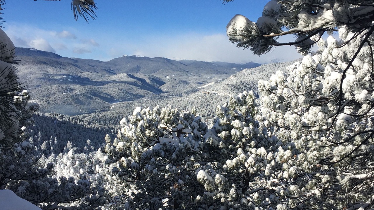Photo of Others in Evergreen