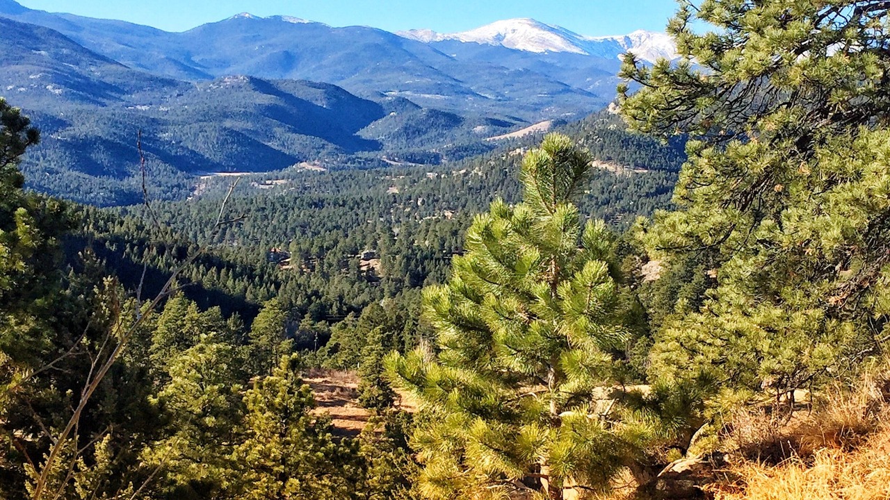 Photo of Others in Evergreen