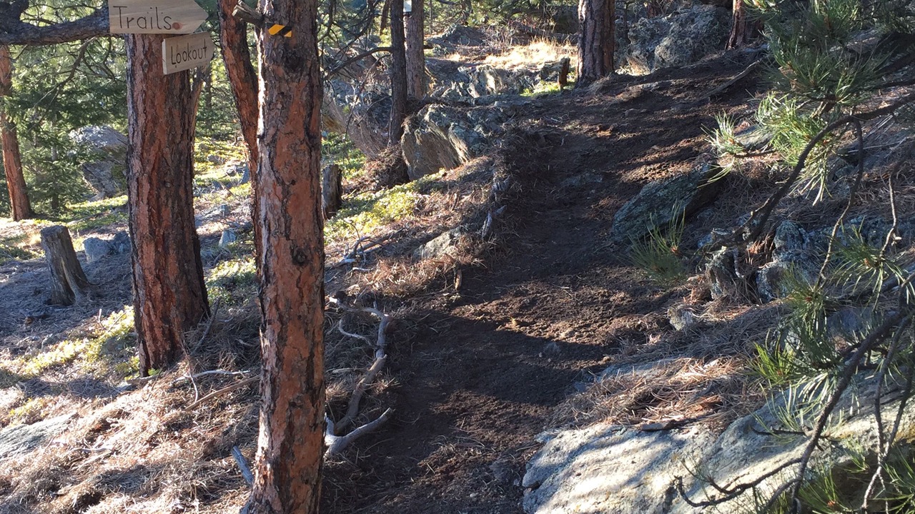 Photo of Outdoor in Evergreen