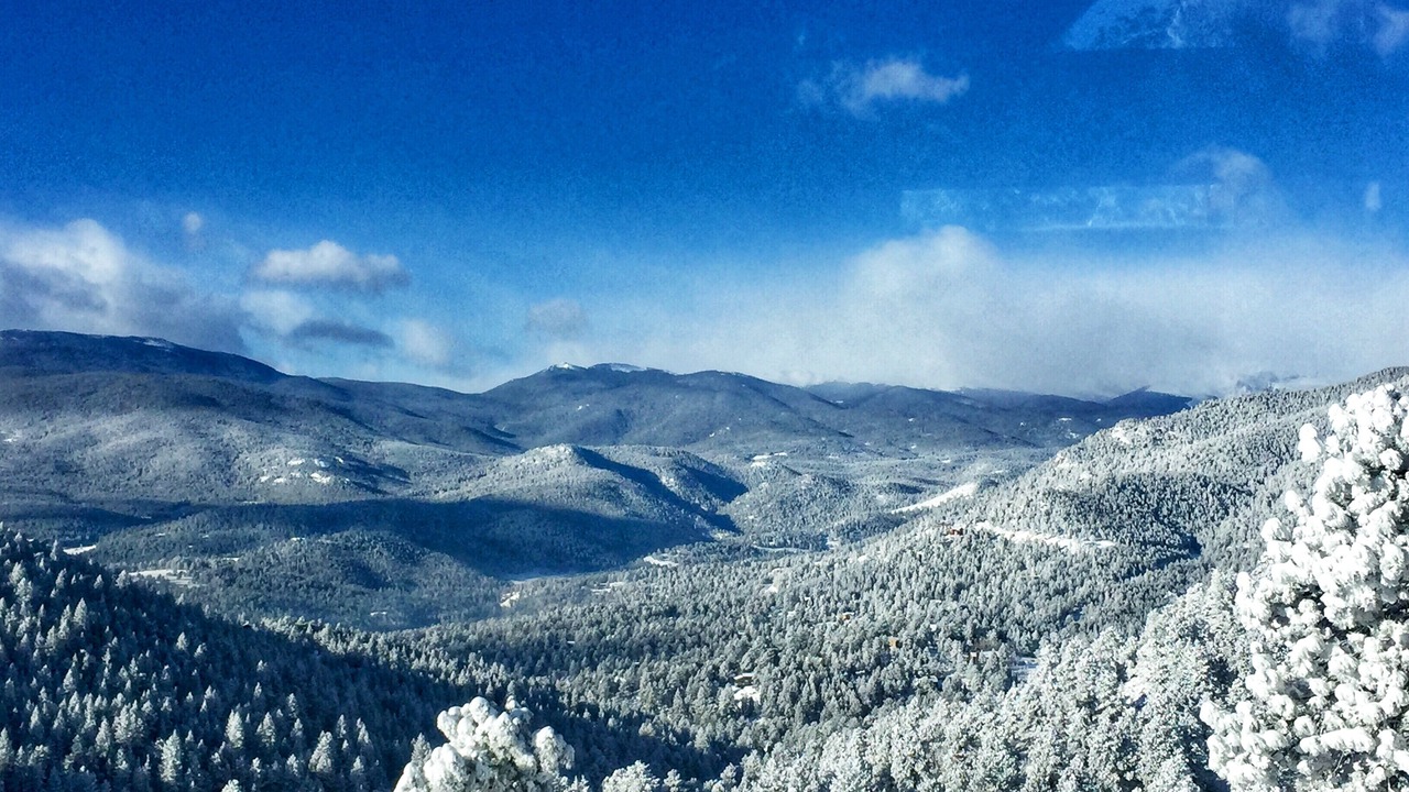 Photo of Others in Evergreen