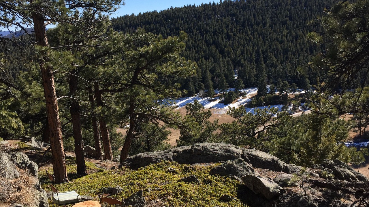 Photo of Outdoor in Evergreen