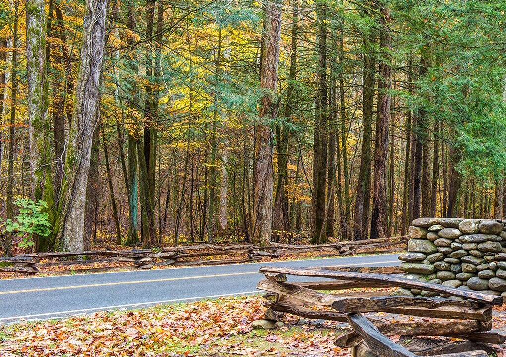Photo of Others in Black Bear Falls