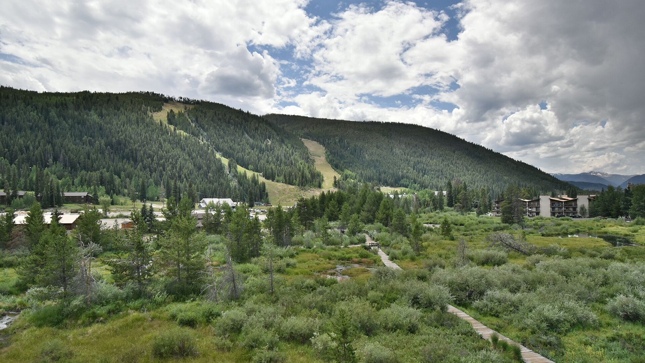 Photo of Others in Mountain House