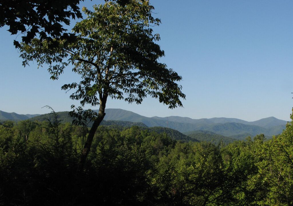 Photo of Others in Black Bear Falls