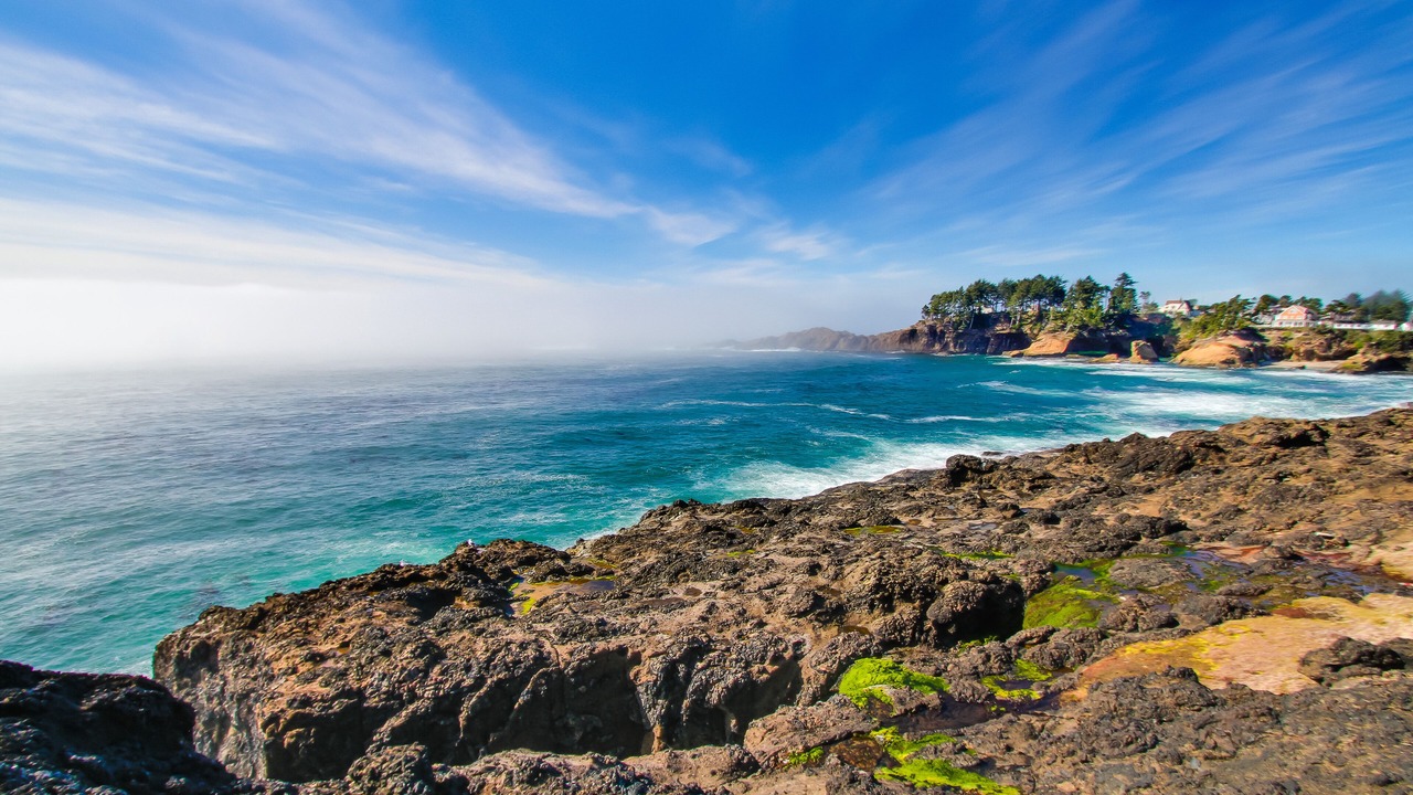 Photo of Others in Depoe Bay