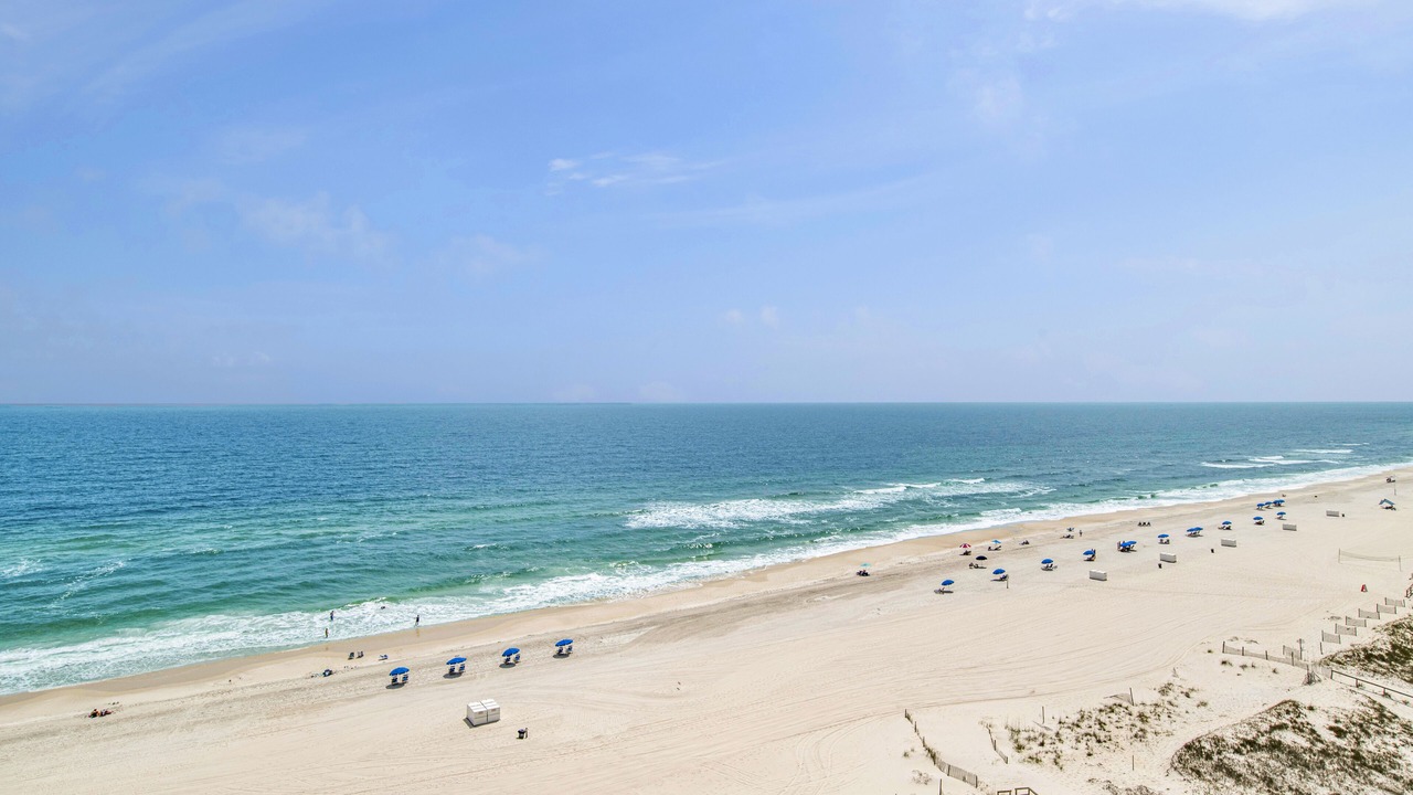 Photo of Others in Orange Beach East