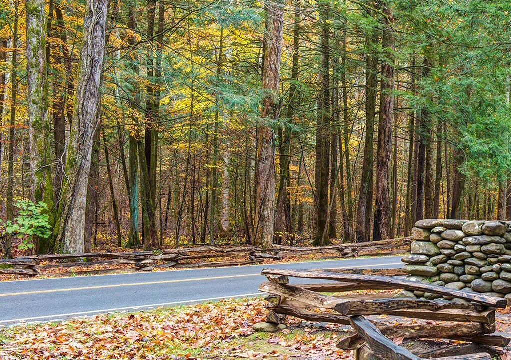 Photo of Others in Hemlock Hills