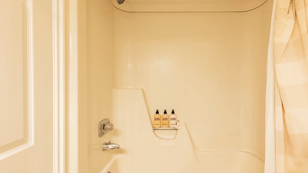 Photo of Bathroom in North Park City