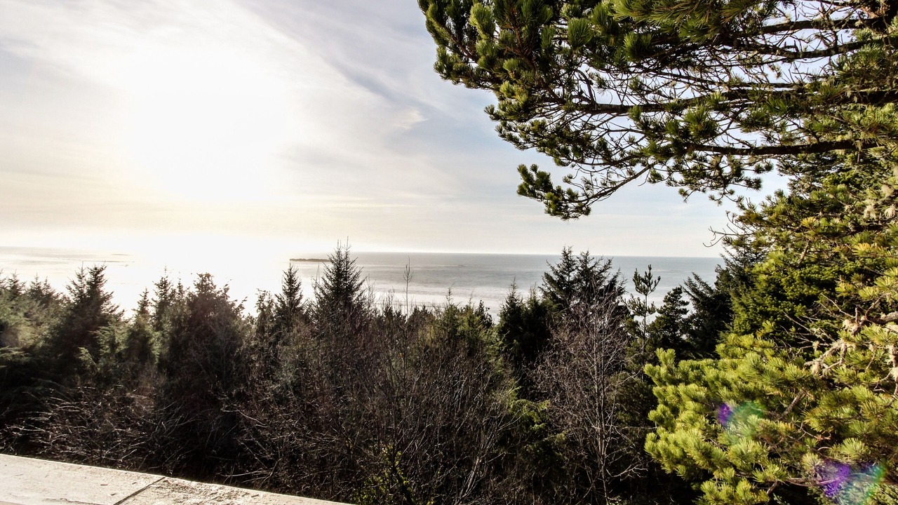 Photo of Others in Otter Rock