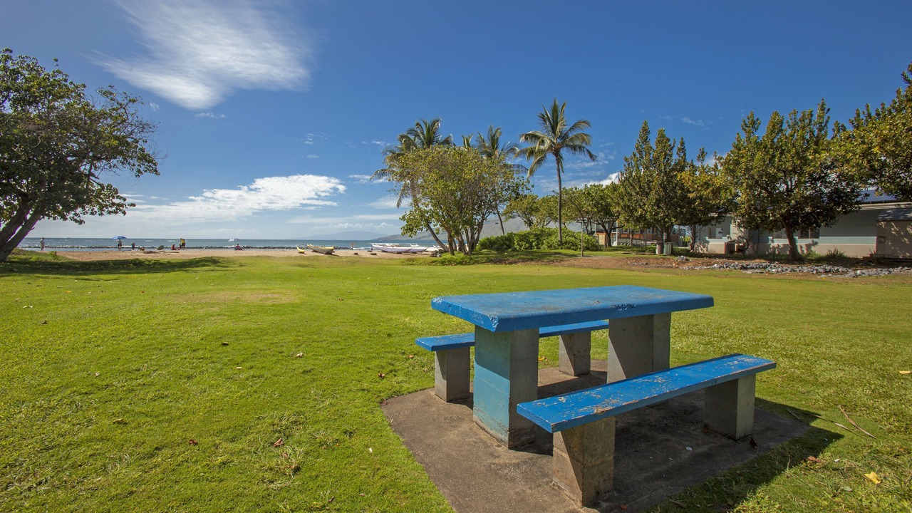 Photo of Others in Kihei