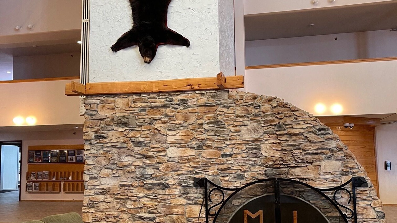 Photo of Livingroom in Snowshoe