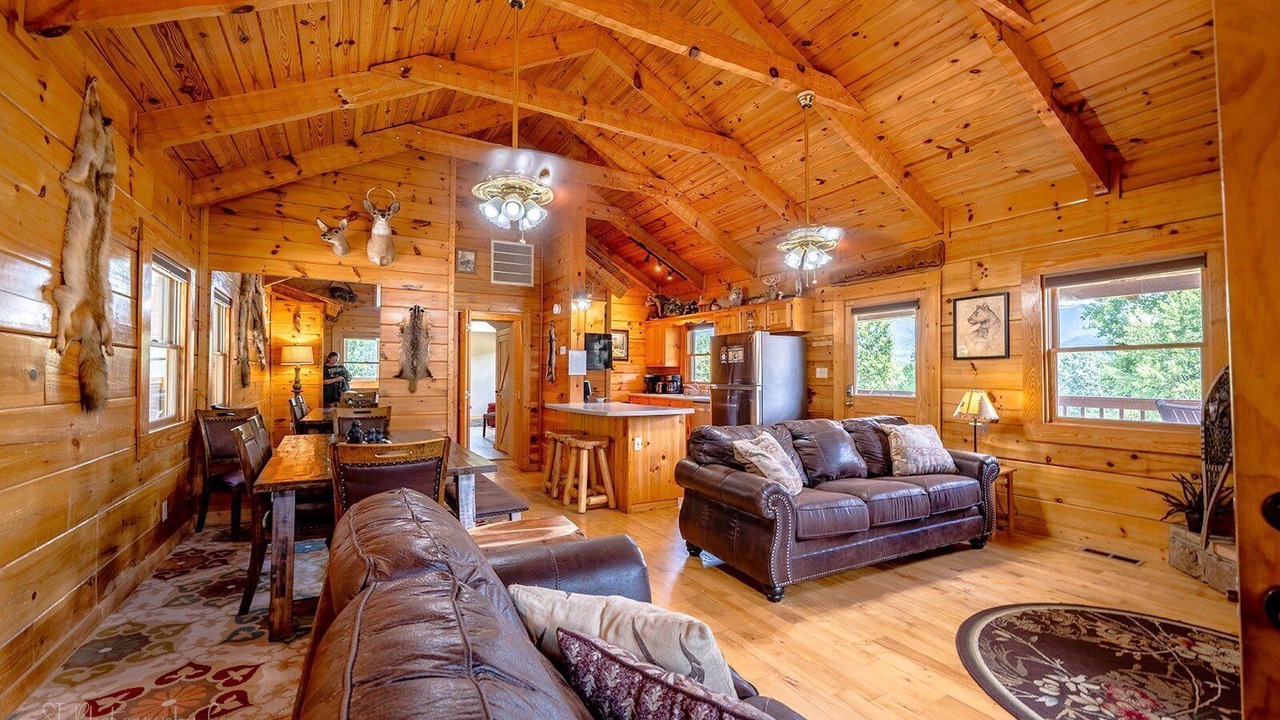 Photo of Livingroom in Wears Valley