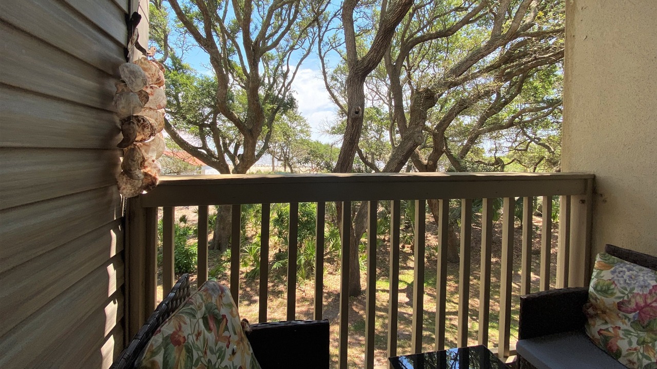 Photo of Outdoor in Jekyll Island