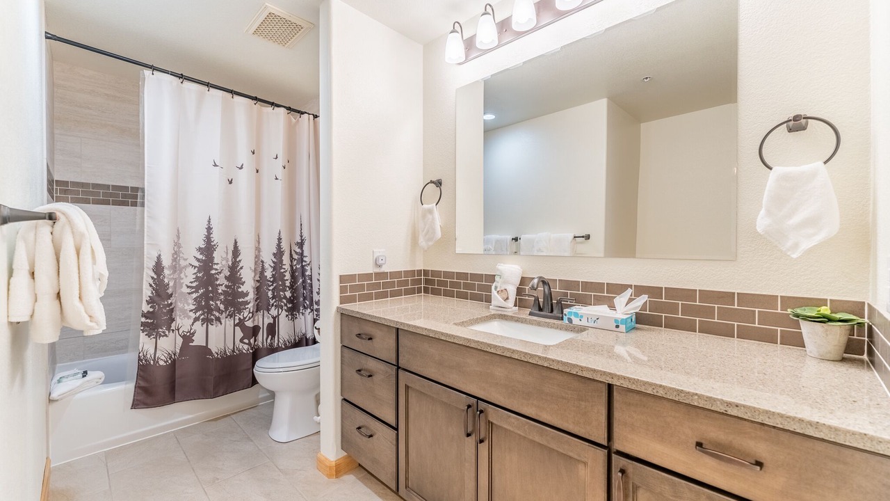 Photo of Bathroom in Mountain House