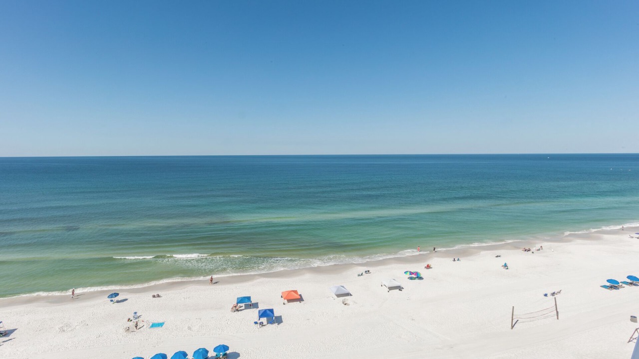 Photo of Others in Gulf Lagoon Beach