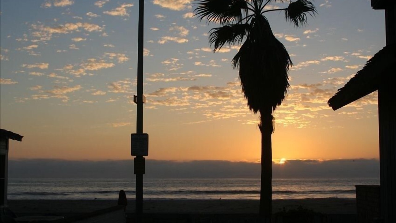 Photo of Others in Mission Beach