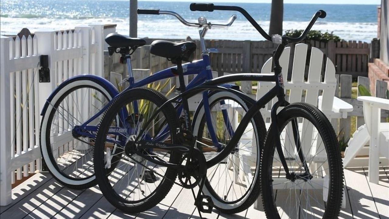 Photo of Others in Mission Beach