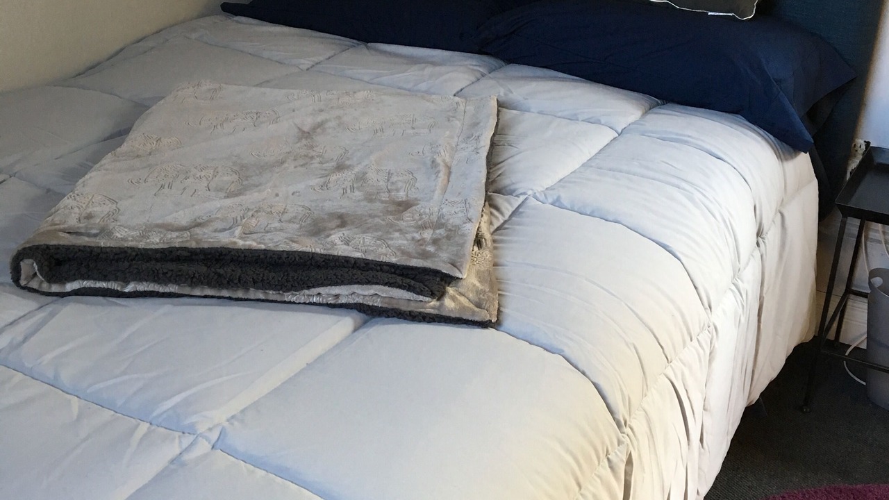 Photo of Bedroom in Del Rey