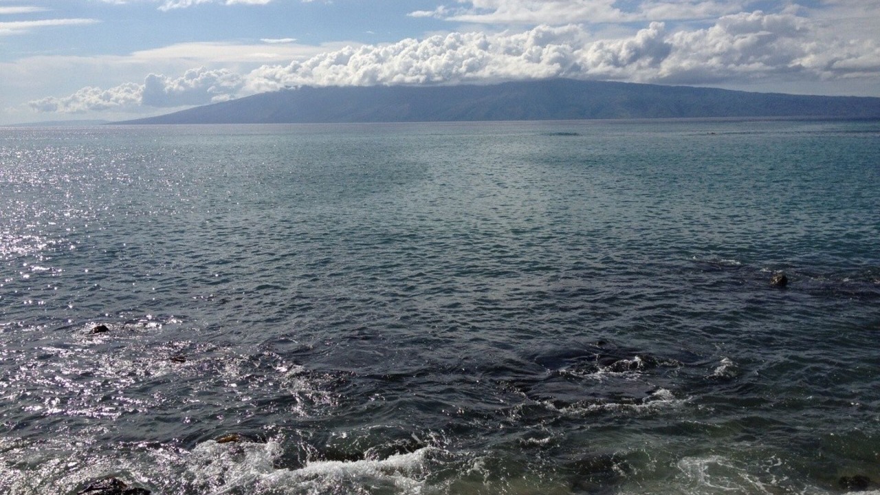 Photo of Others in Kahana