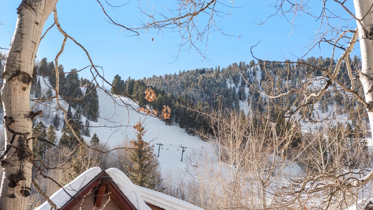 Photo of Others in Aspen