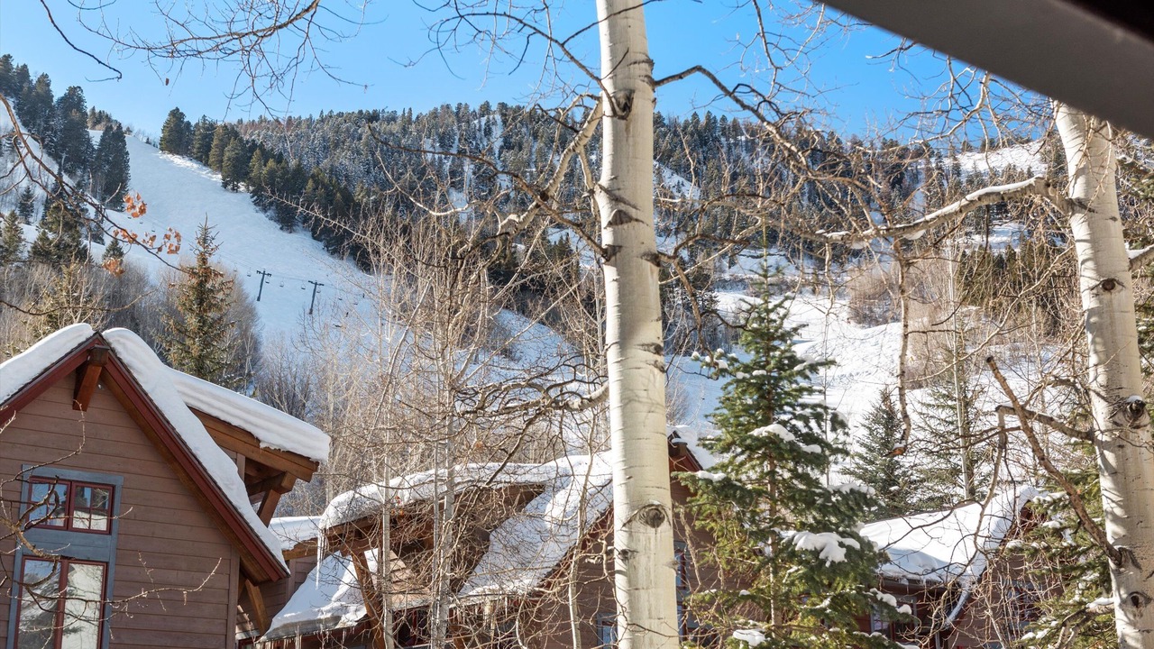 Photo of Others in Aspen
