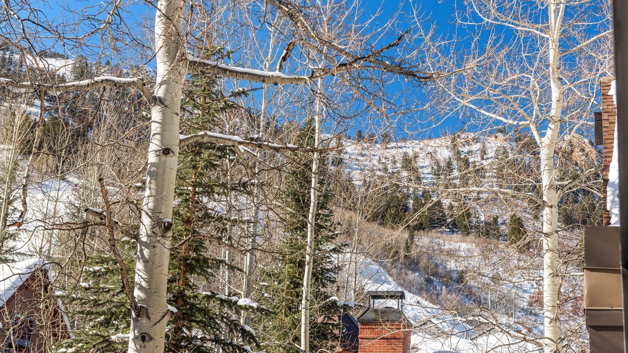 Photo of Others in Aspen
