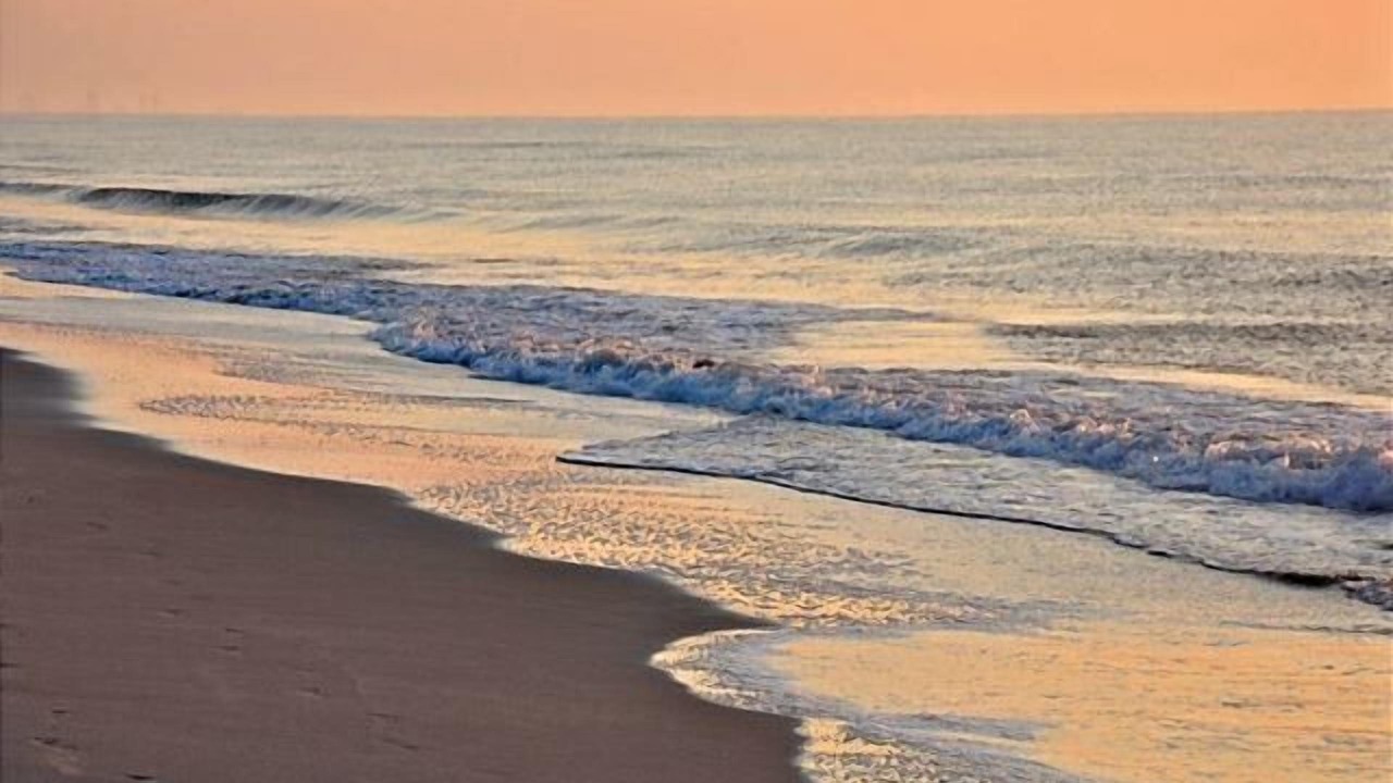 Photo of Others in Myrtle Beach