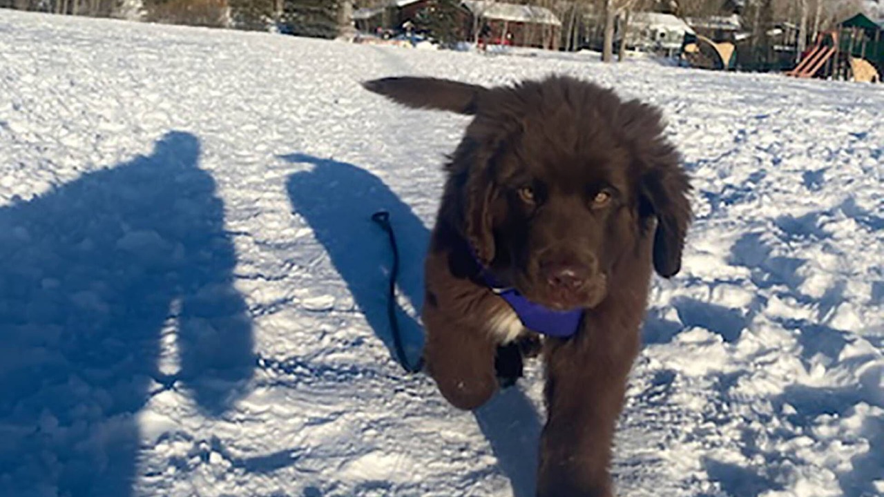Photo of Others in Steamboat Springs