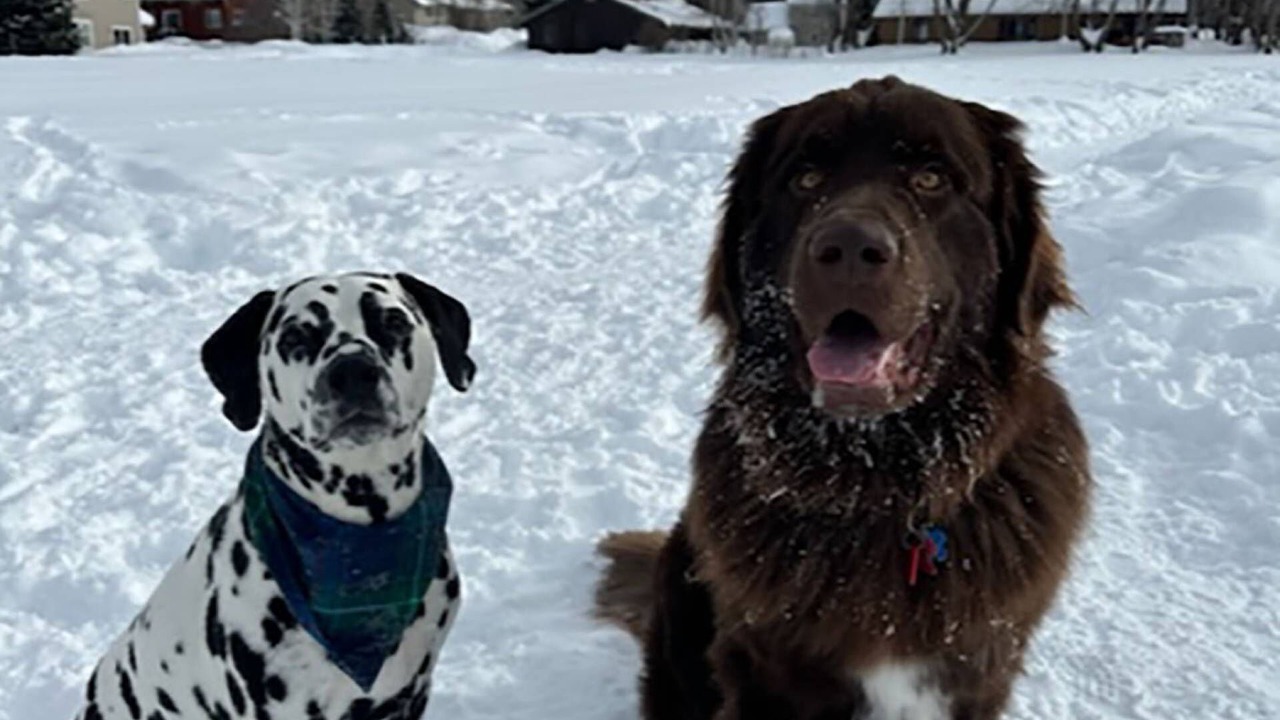 Photo of Others in Steamboat Springs