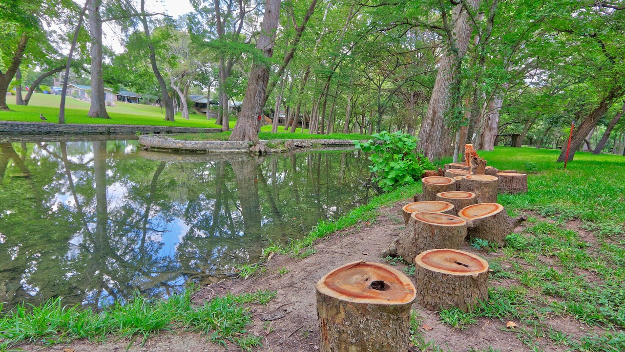 Photo of Others in Wimberley