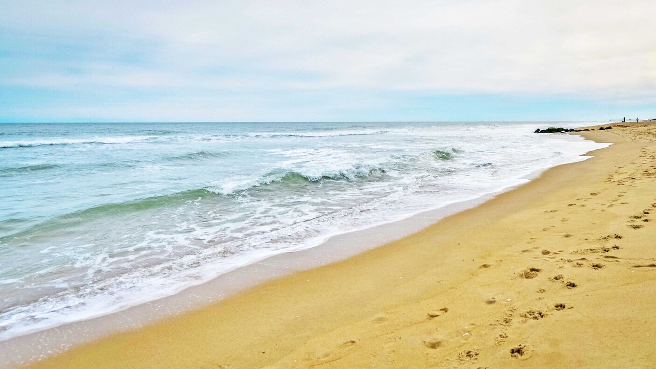 Photo of Others in Ocean City