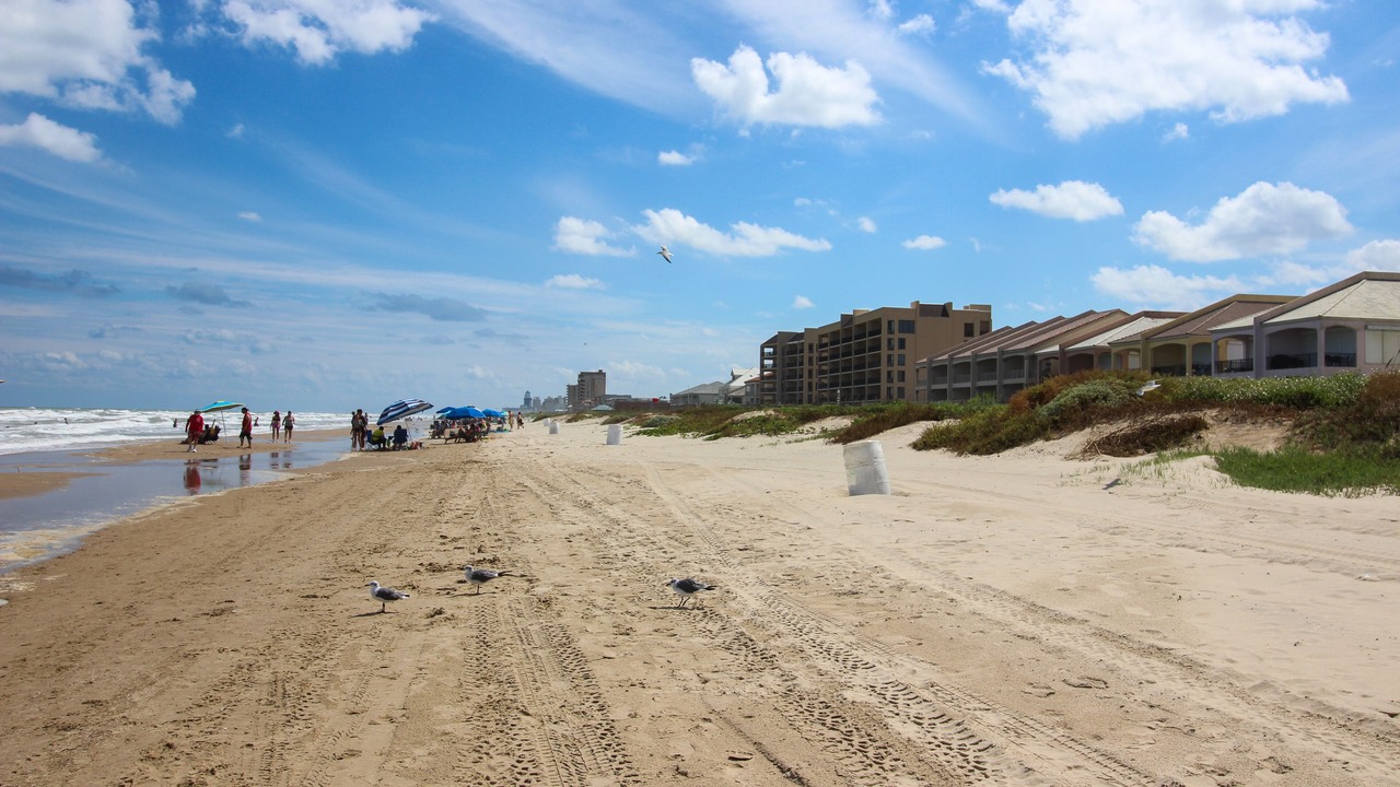 Photo of Others in South Padre Island