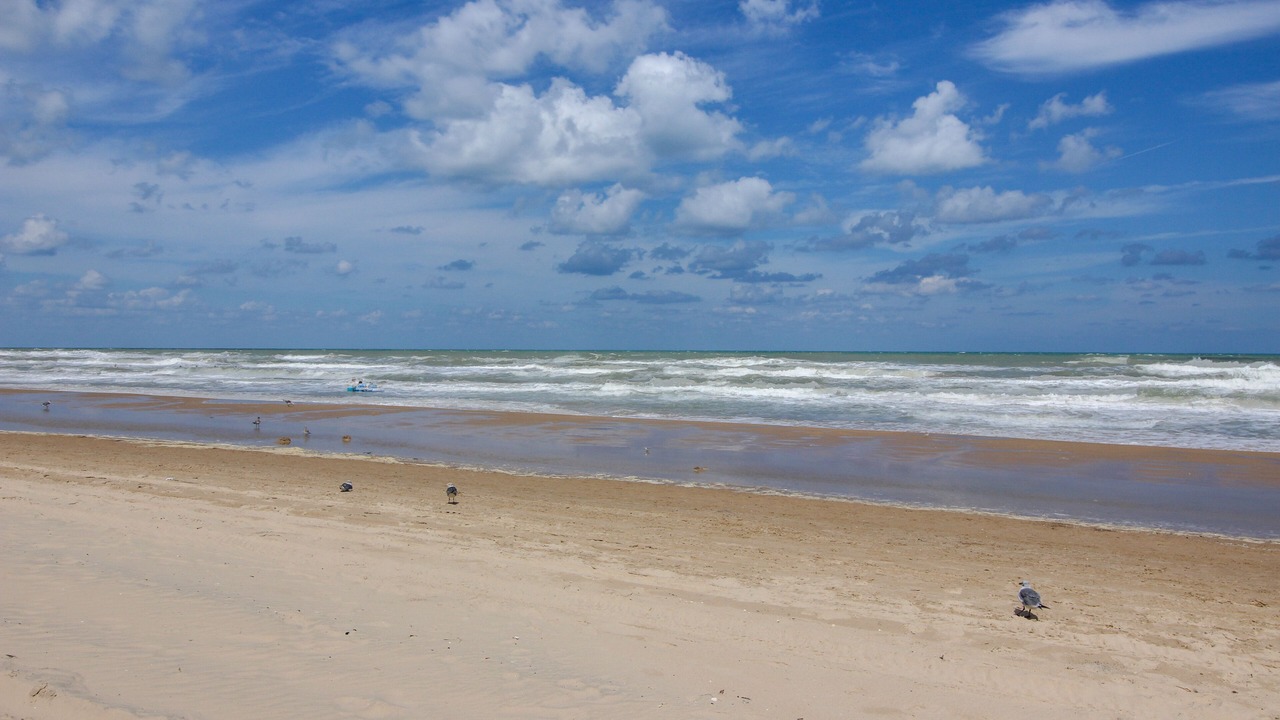 Photo of Others in South Padre Island