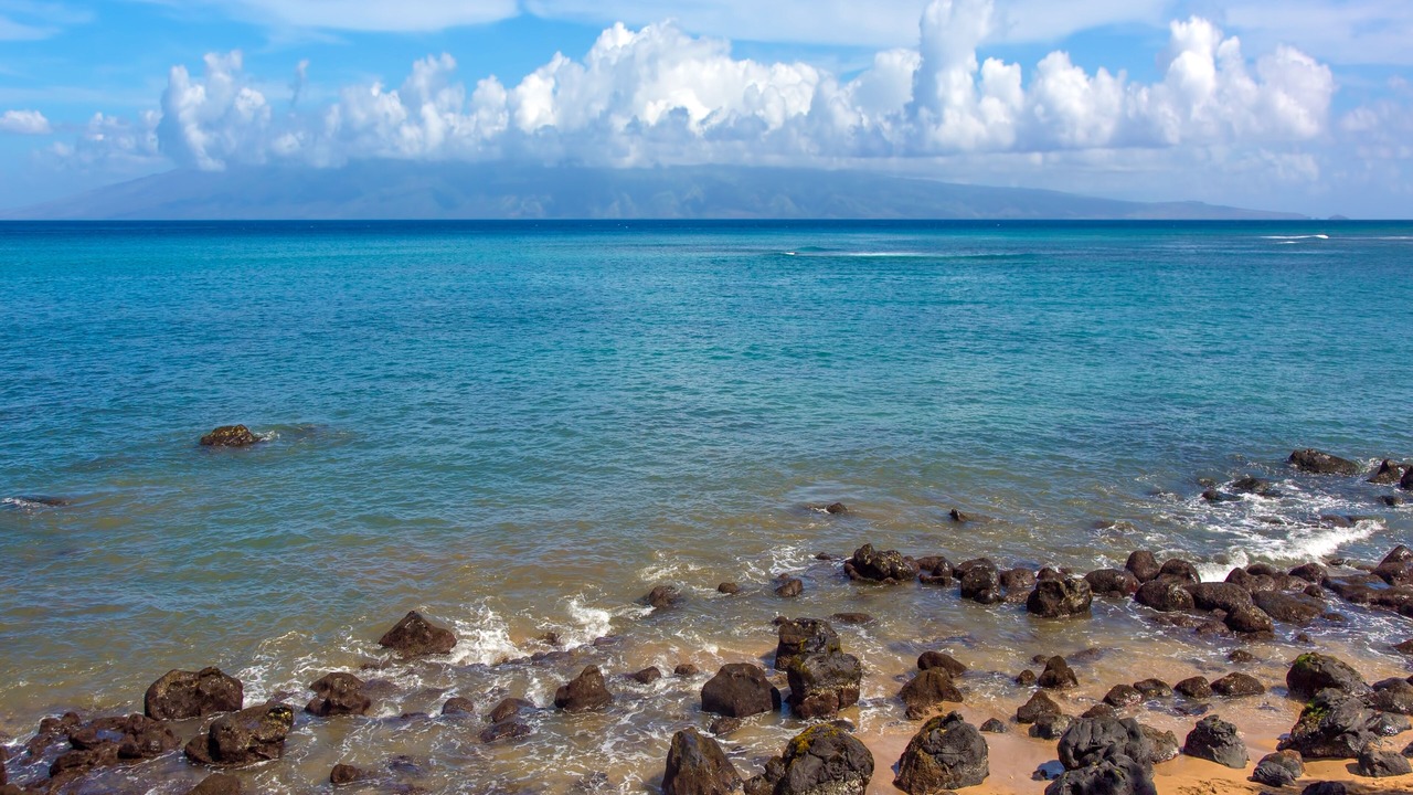 Photo of Others in Kahana