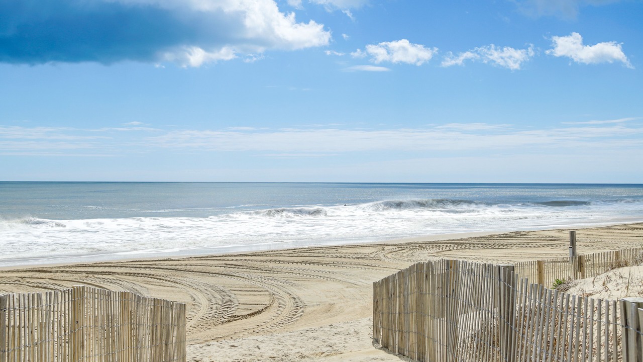 Photo of Others in Midtown Ocean City