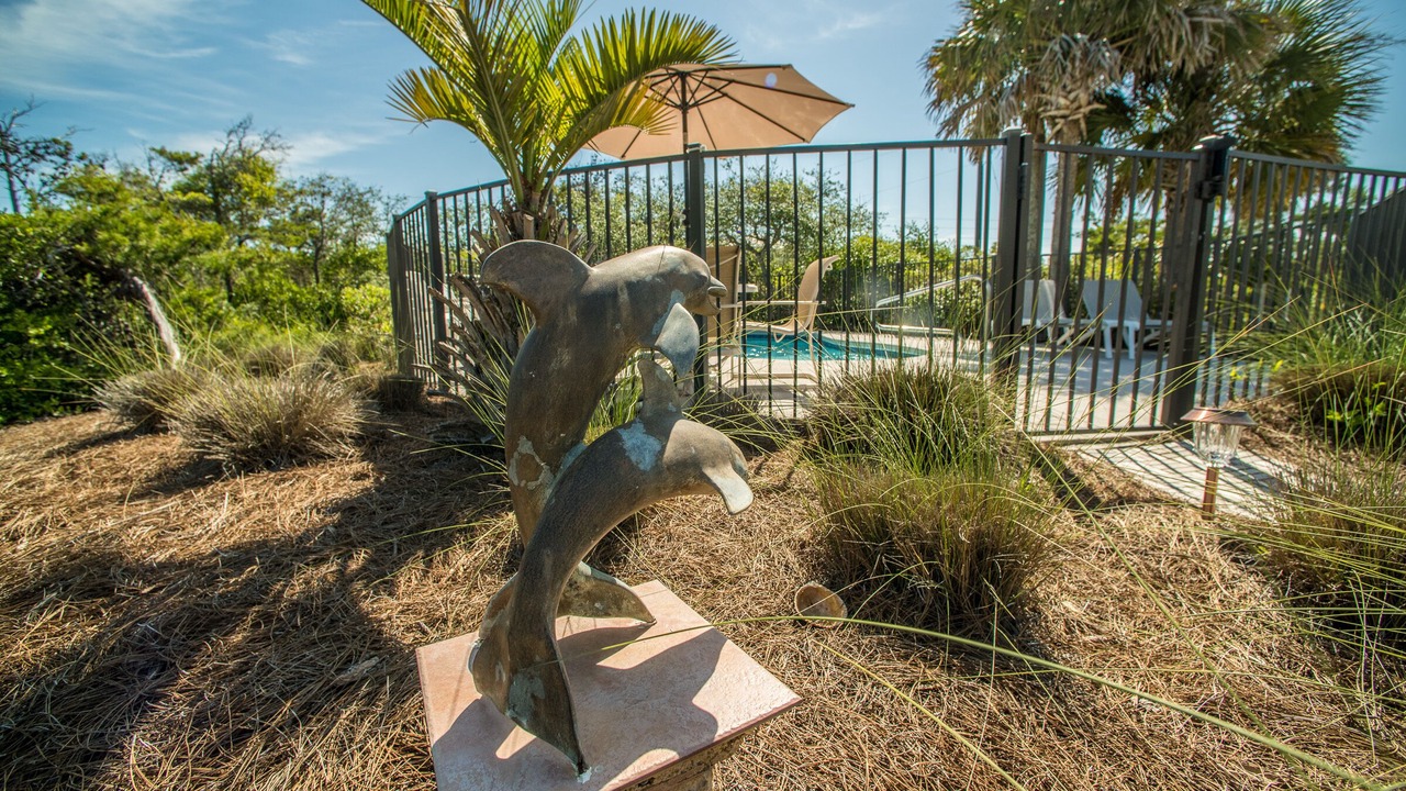 Photo of Outdoor in Cape San Blas