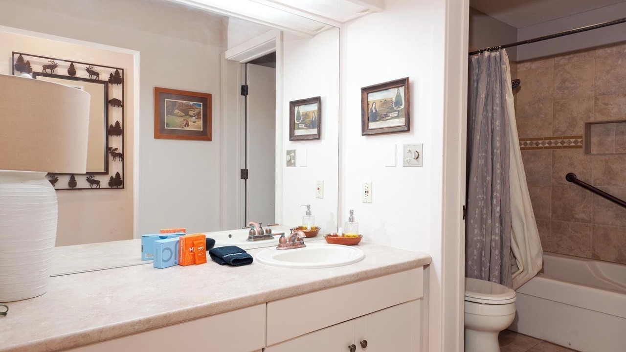 Photo of Bathroom in Purgatory