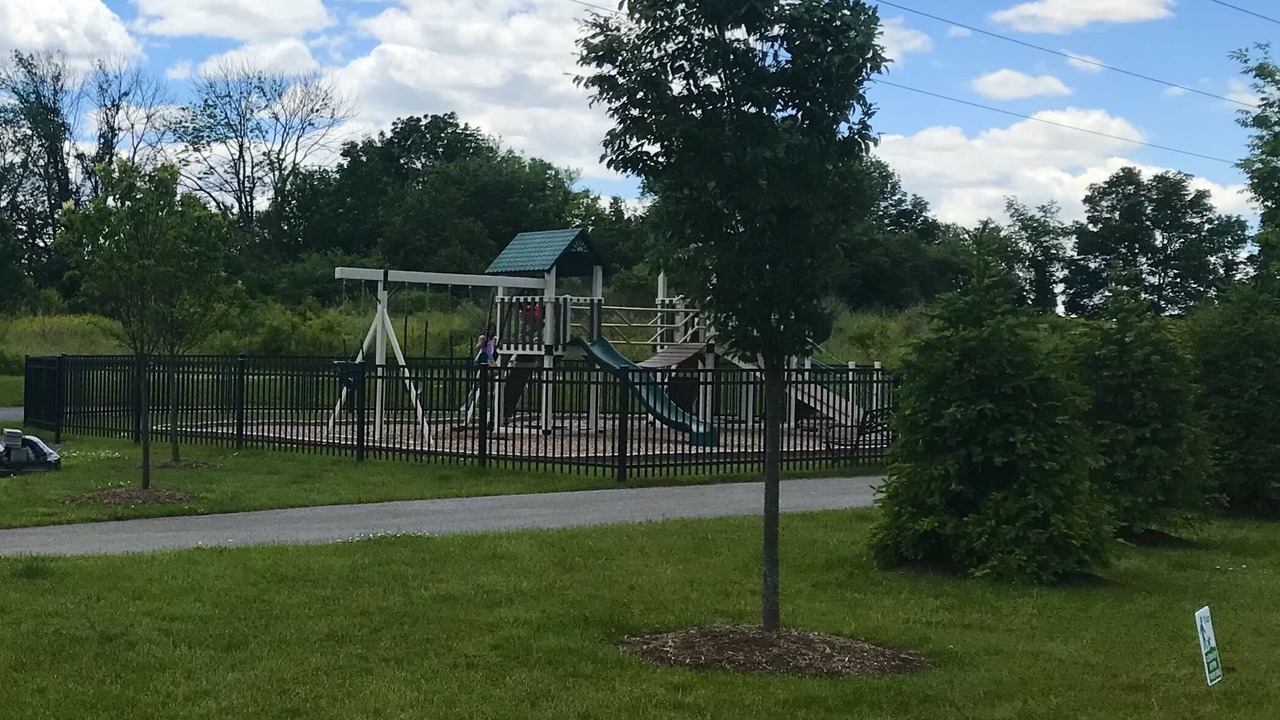 Photo of Others in Adamstown