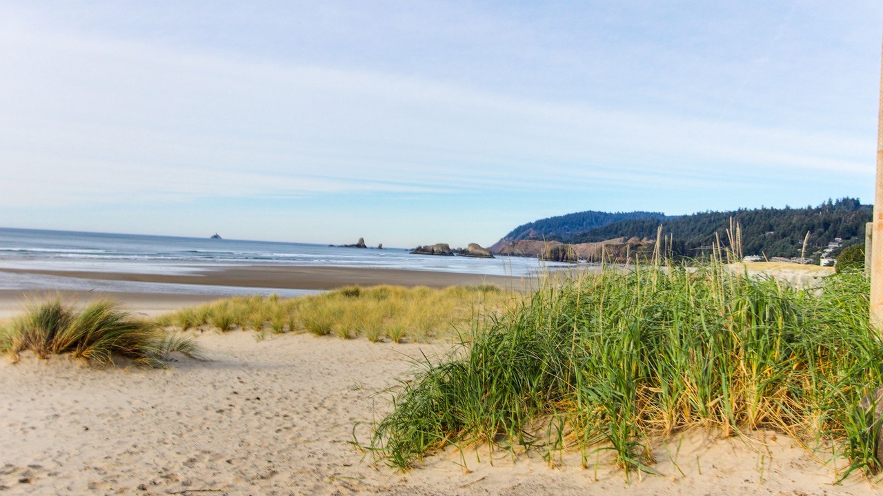 Photo of Others in Downtown Cannon Beach